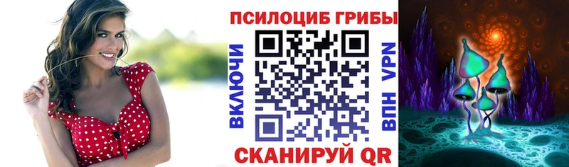 купить цена Сухой Лог Галлюциногенные грибы MAGIC MUSHROOMS