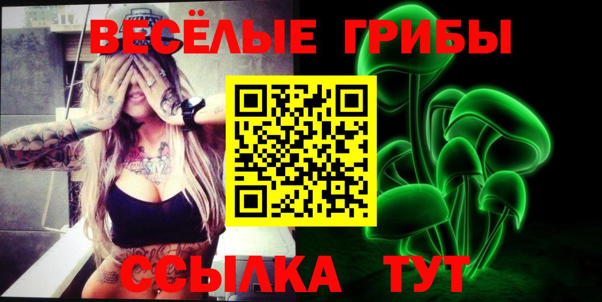 Псилоцибиновые грибы Cubensis  Вход с VPN  Сухой Лог 