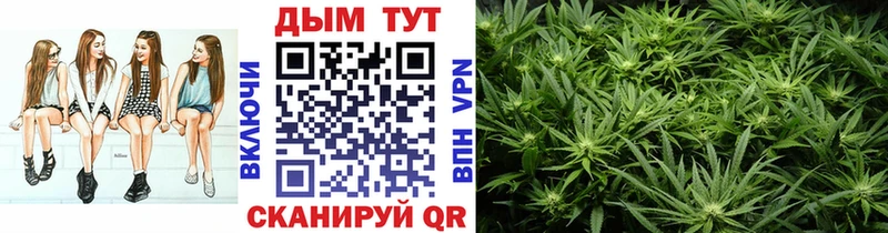 дарк нет наркотические препараты Сухой Лог МАРИХУАНА индика